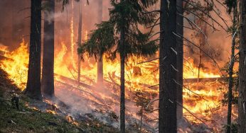 Chernobyl, gli incendi sono vicini all’ex centrale nucleare