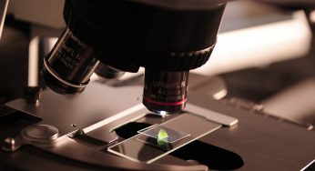 Cos’è il pap test? A cosa serve? E come si esegue?