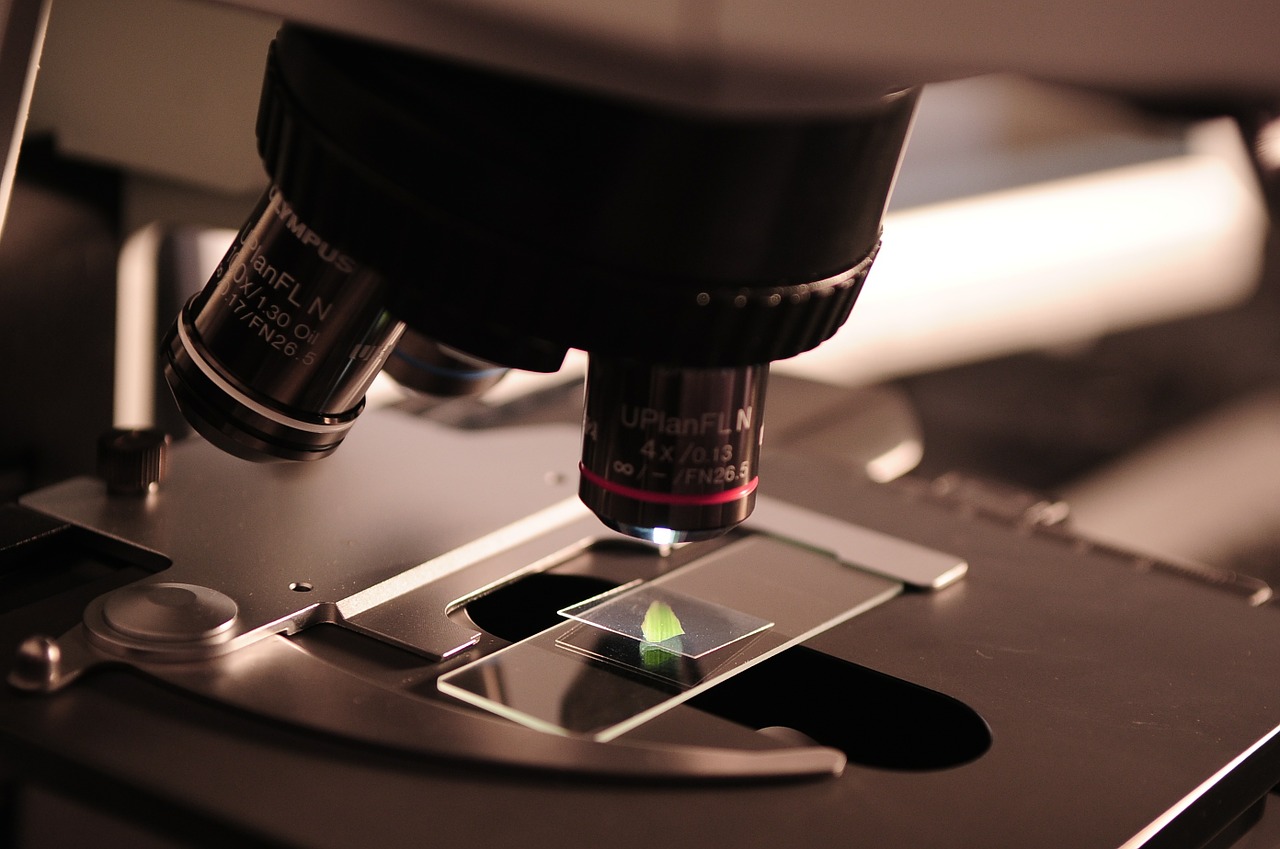Le cellule prelevate durante il pap test vengono esaminate al microscopio