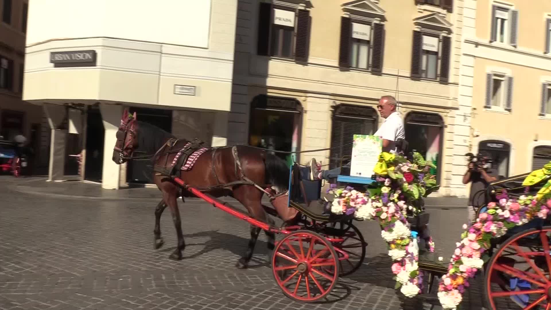 Roma, i vivai 'ripartono con un fiore' dopo il lockdown
