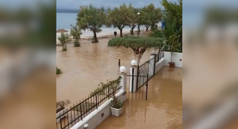 Maltempo Grecia, l’Isola di Eubea in ginocchio: sette morti