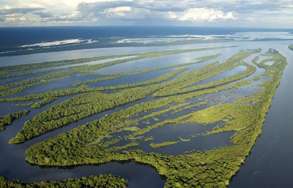 Foresta amazzonica