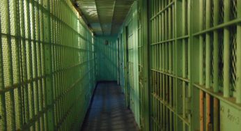 ‘Ndrangheta, 49 arresti in Calabria: ai domiciliari il sindaco di Rosarno