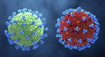 Covid, quasi 100 milioni di contagi in tutto il mondo. Gli ultimi dati