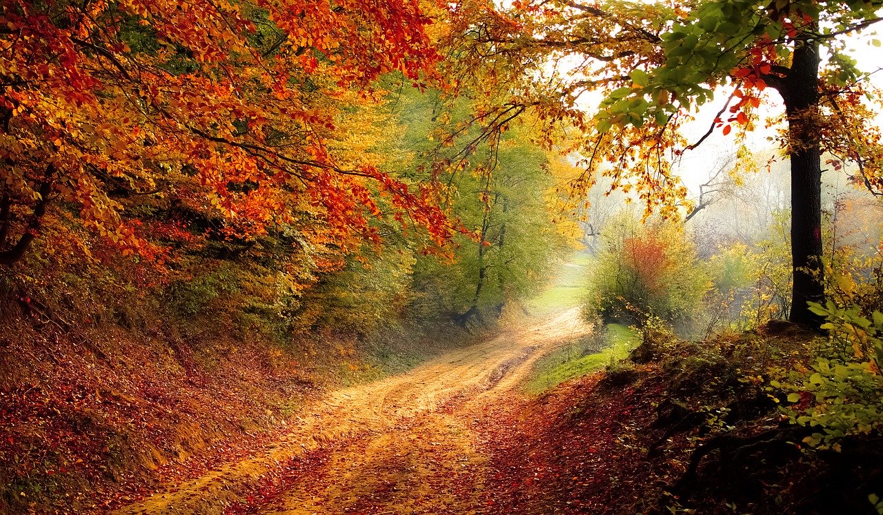 L'equinozio d'autunno porterà con se temperature più basse, giornate meno lunghe e i colori tipici della stagione che precede l'inverno