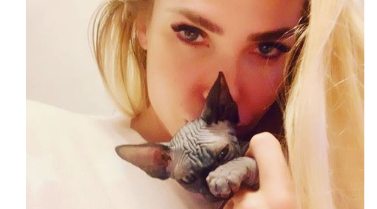 Ilary Blasi con il suo gatto Donna Paola (Foto: Instagram)