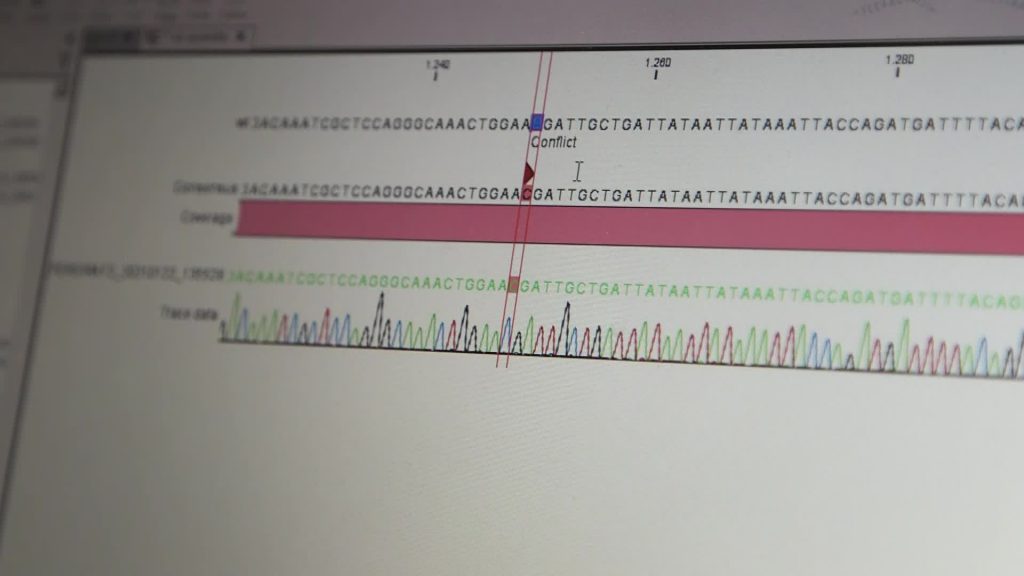 Covid, primo caso in Italia di variante brasiliana: come muta il virus