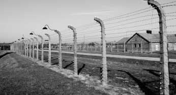 Giorno della Memoria 2021, </br>gli eventi online e le testimonianze