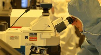Ebola, ritorna l’epidemia in Guinea: scoperti 7 casi
