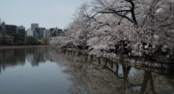 Covid, casi in aumento a Tokyo: previste nuove restrizioni