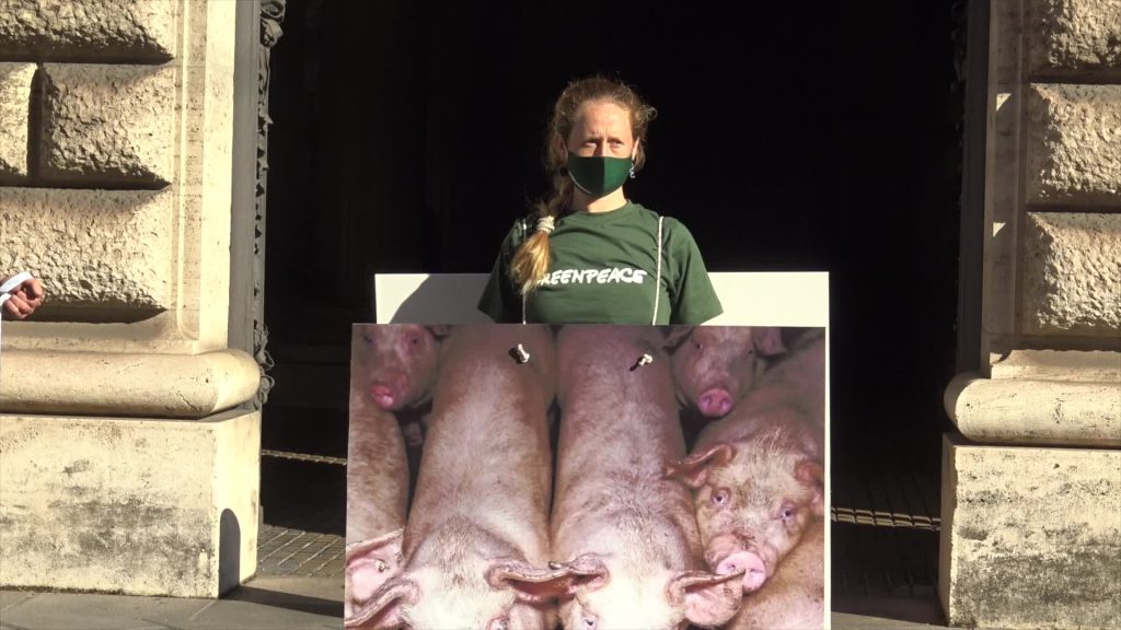 Roma, flash mob di Greenpeace al ministero dell'Agricoltura