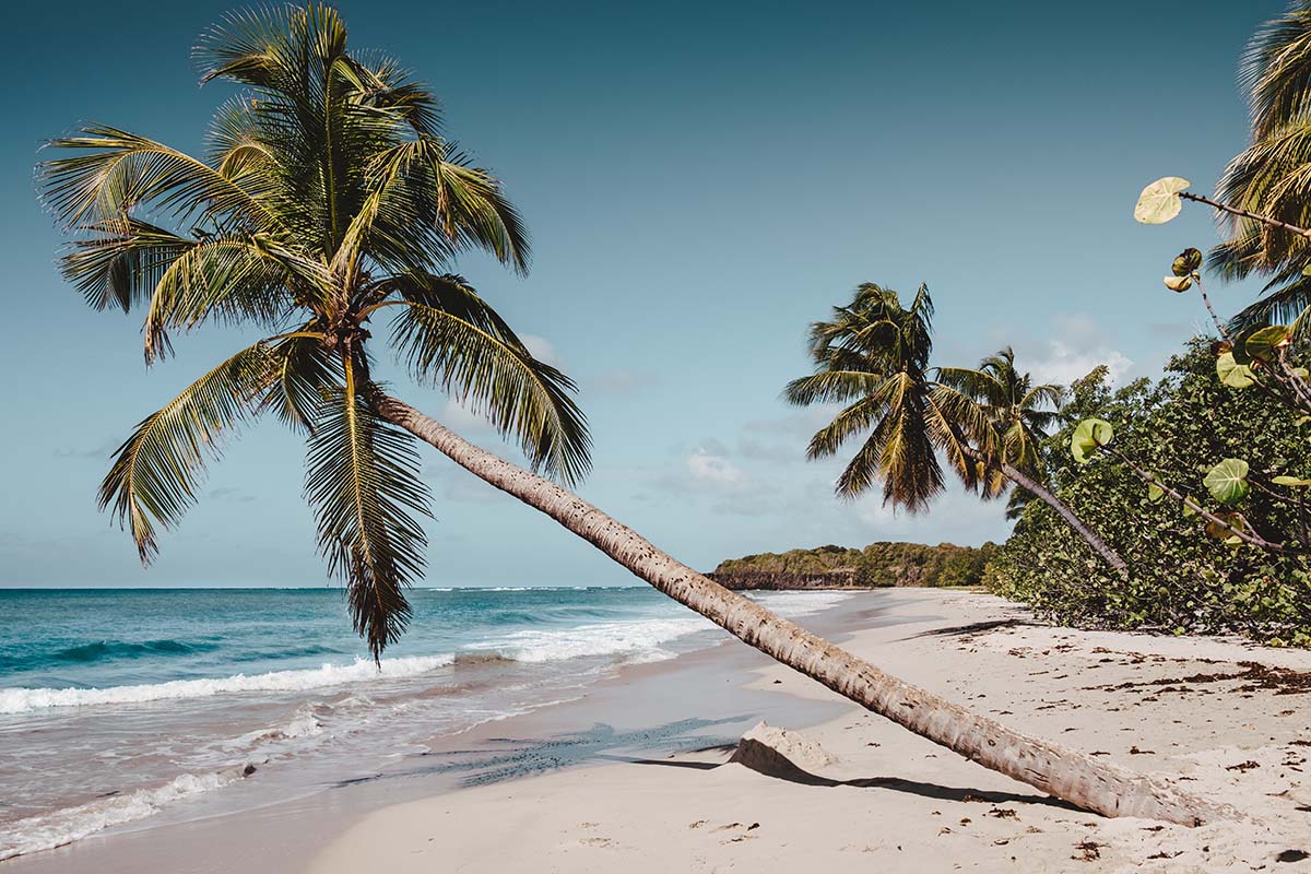 Caraibi Martinica spiaggia