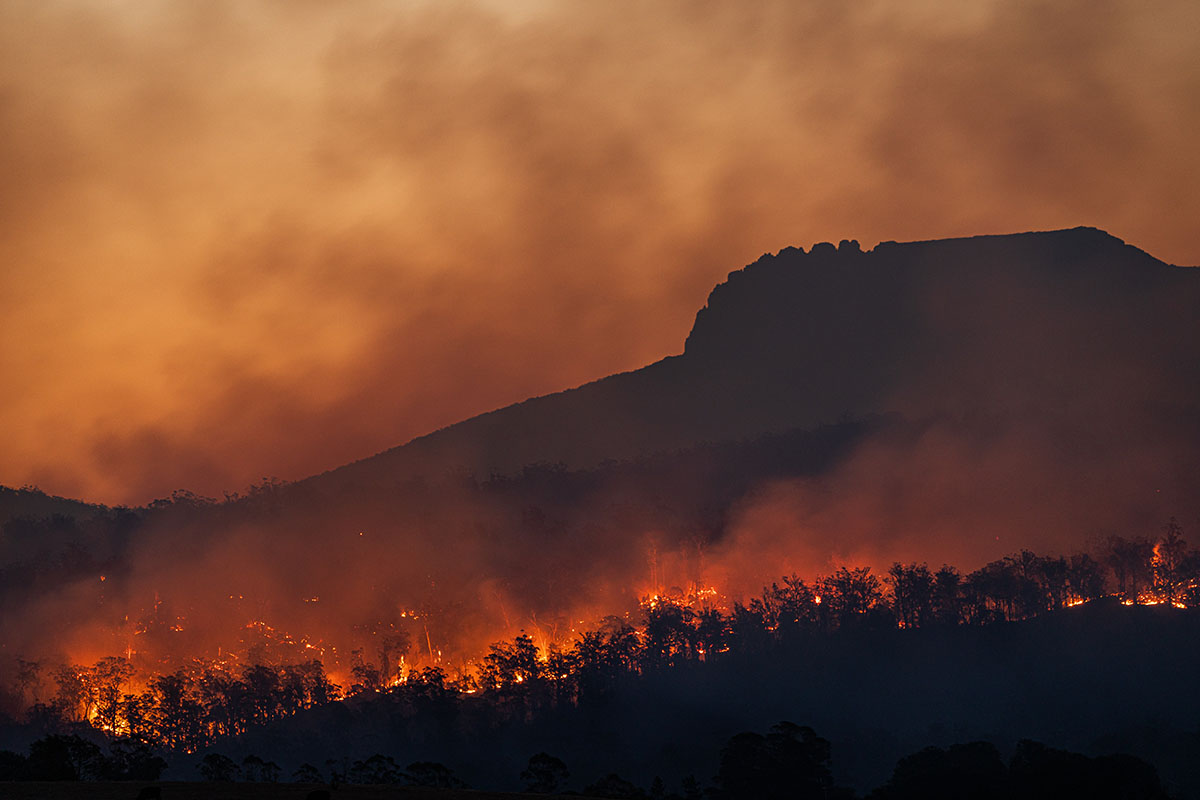 incendio foresta cambiamento climatico clima