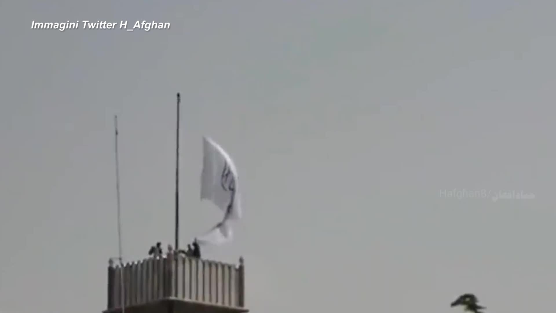 i talebani alzano la bandeira sul palazzo presidenziale di Kabul