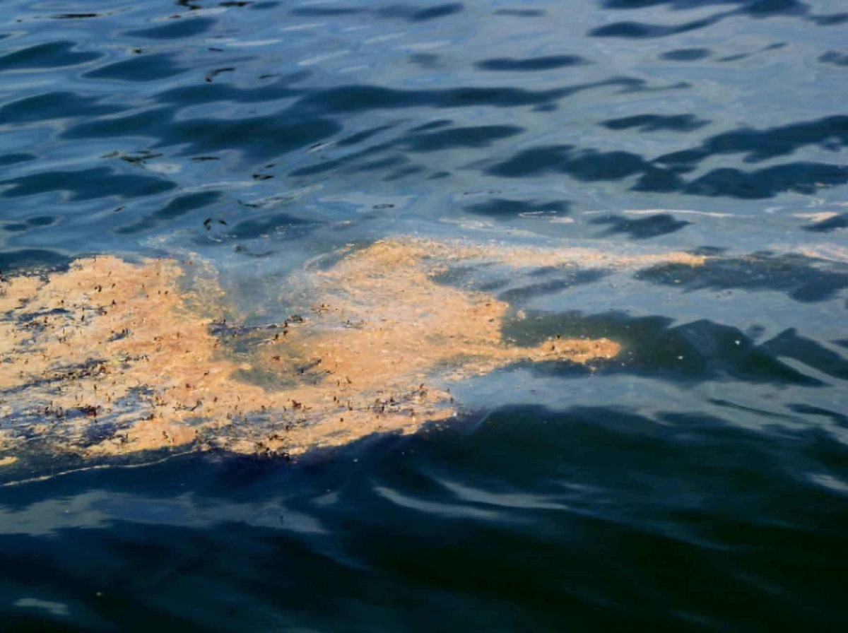 Golfo del Messico, c'è una perdita di Petrolio