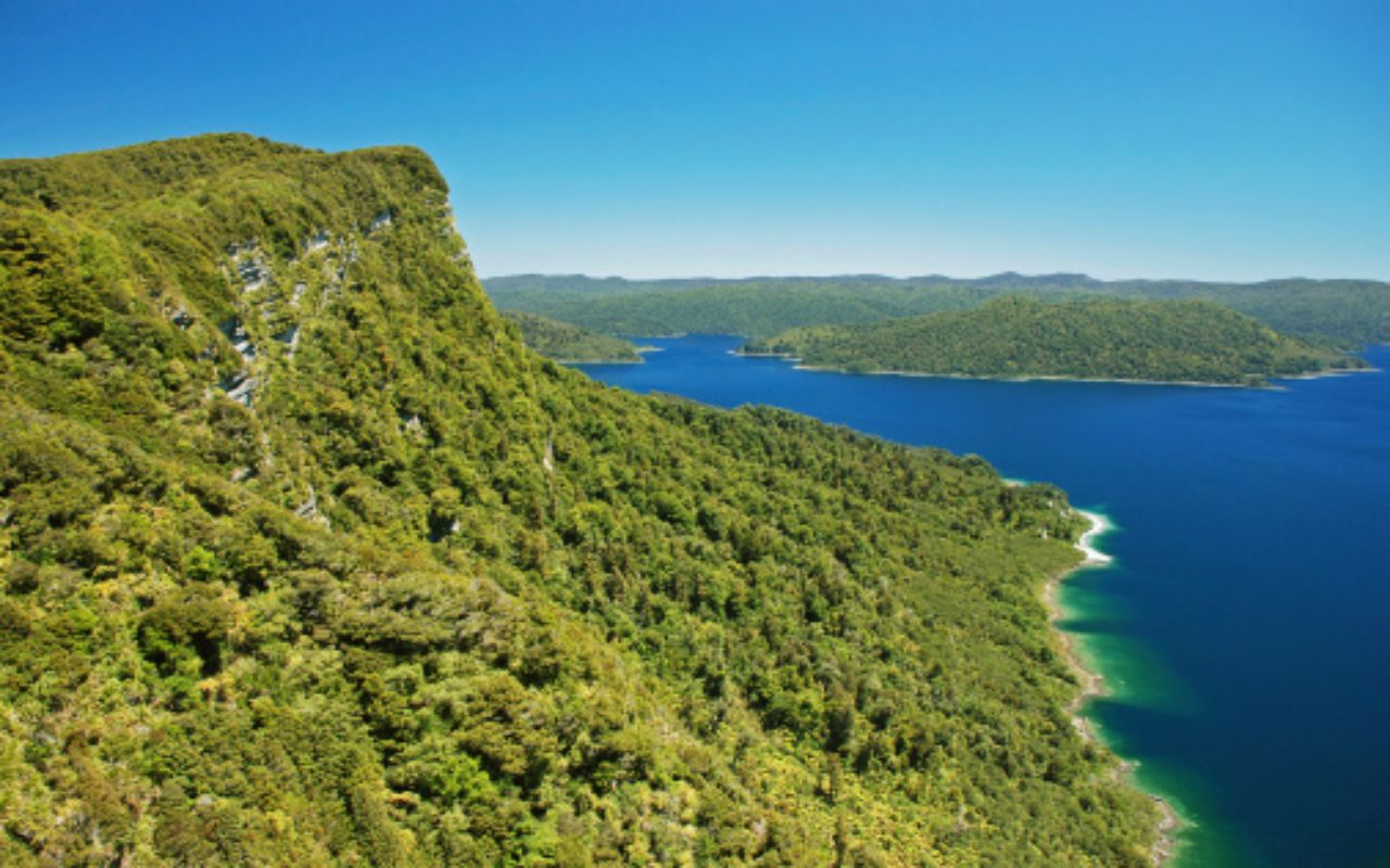 te urewera