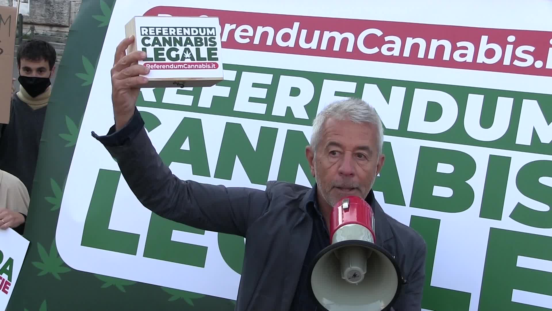 Referendum cannabis, consegnate in Cassazione 630mila firme
