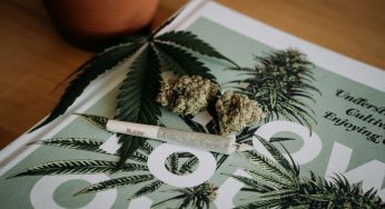 Lussemburgo primo in EU a legalizzare la coltivazione di cannabis