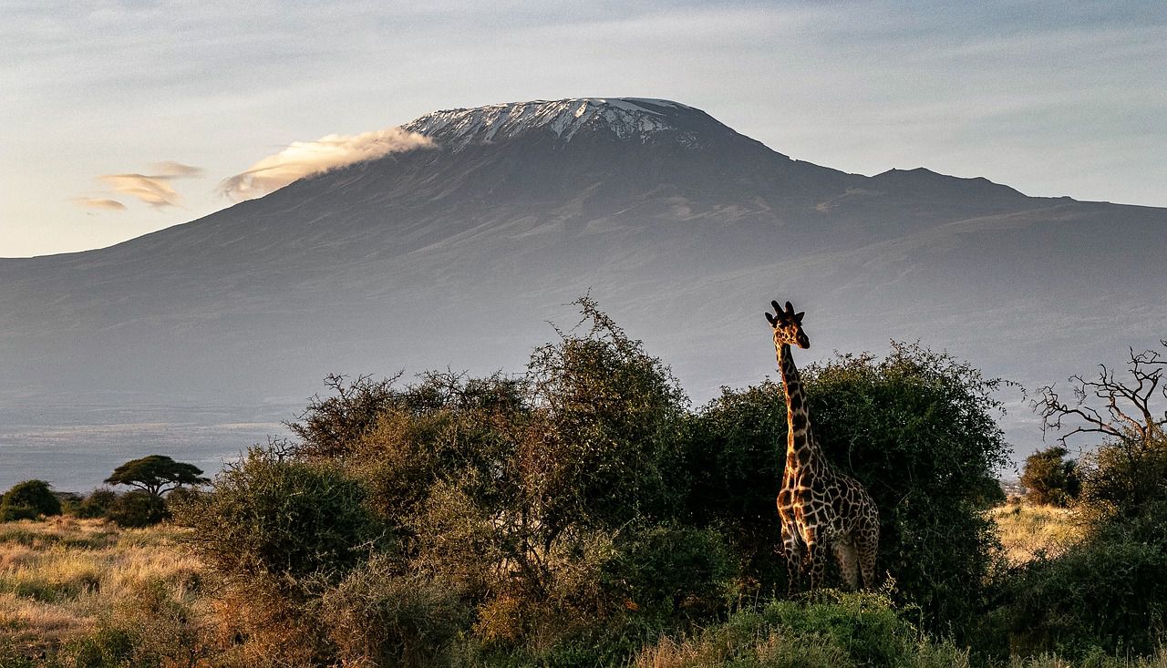 Ghiacciai africani si scoglieranno tra 20 anni