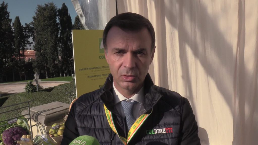 Coldiretti: "A Natale Covid rischia di bruciare quattro miliardi"