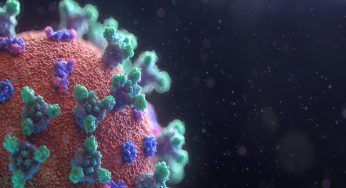 Covid, cosa sappiamo della nuova variante sudafricana