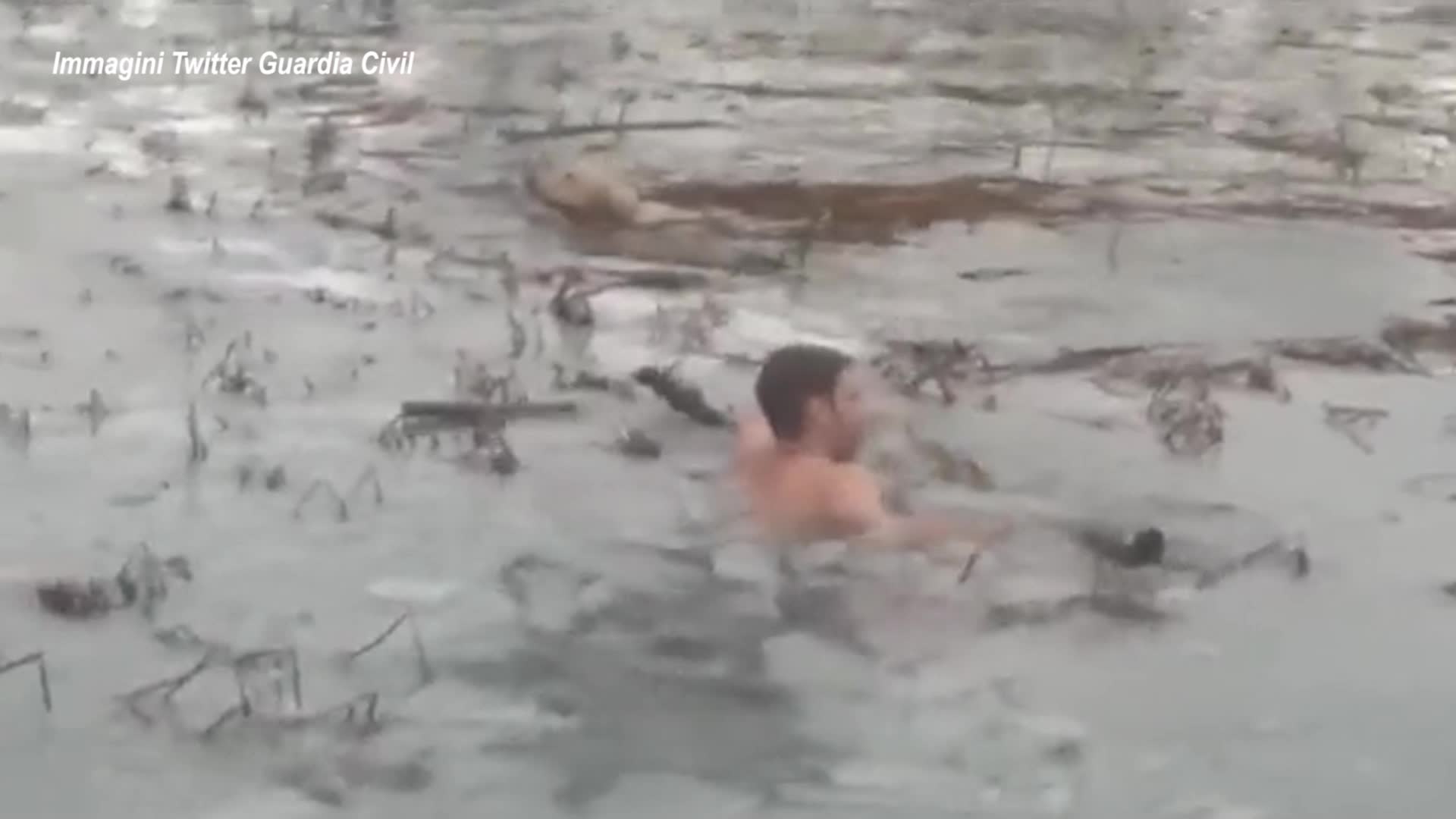 Spagna, due agenti si tuffano nel lago ghiacciato per salvare un cane - VIDEO