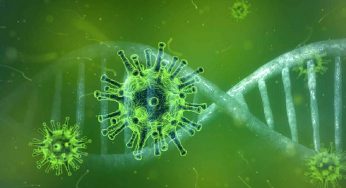 Deltamicron, cosa sappiamo esattamente della variante ibrida del Covid