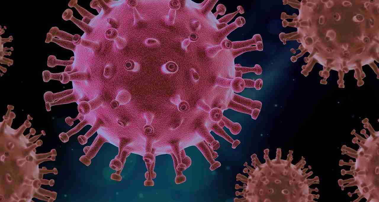 Covid è causato dal coronavirus Sars-CoV-2