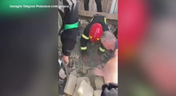 Ucraina, vigili del fuoco salvano un cane dalle macerie dopo il bombardamento a Mykhailivka