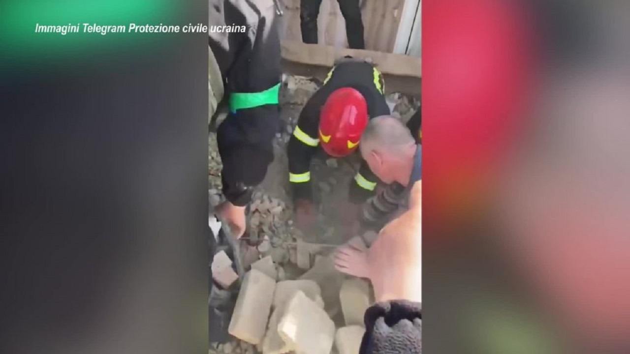 I soccorritori salvano un cane dalle macerie