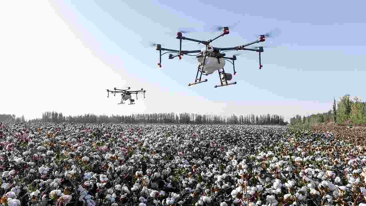 Droni, utilizzati in campo agricolo