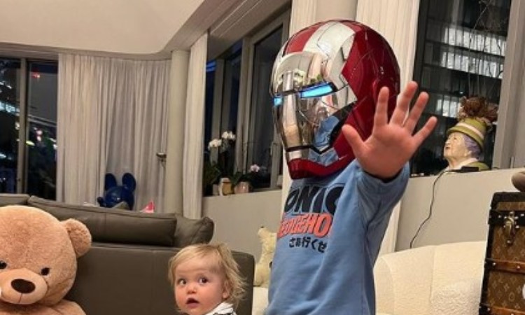 Leone e il casco di Iron Man