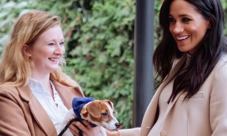 Meghan Markle e l'associazione animalista