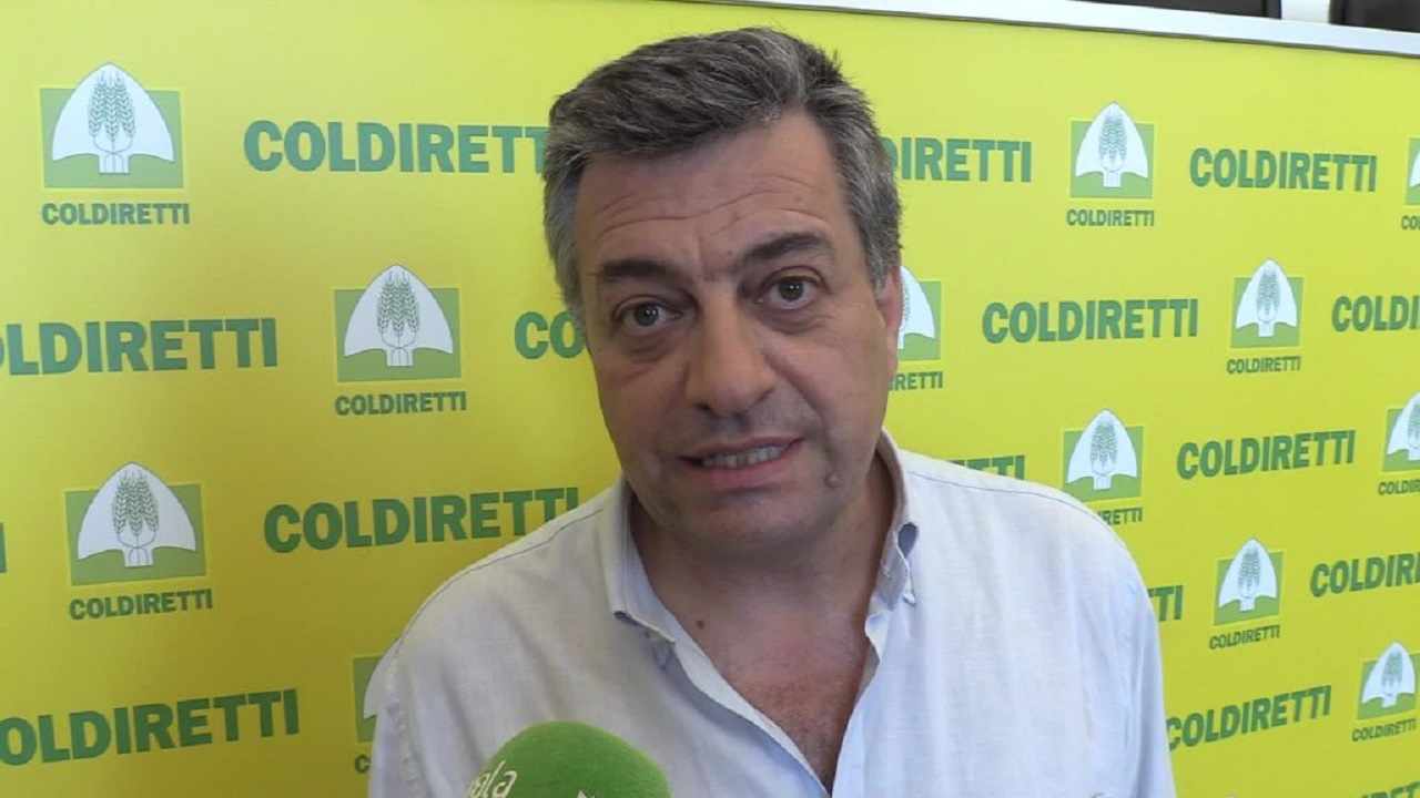 Francesco Giardina, responsabile consumi Coldiretti