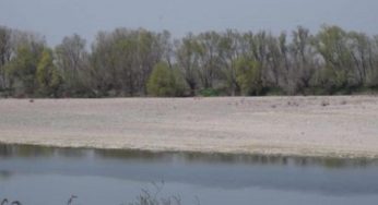 Siccità, agricoltura fa i conti con le conseguenze | I danni in tutta Italia