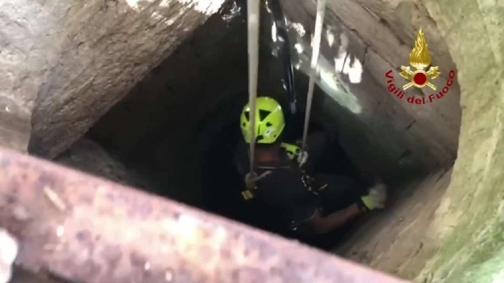 I vigili del fuoco salvano un gattino