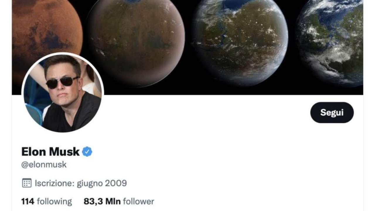 Il profilo Twitter di Elon Musk