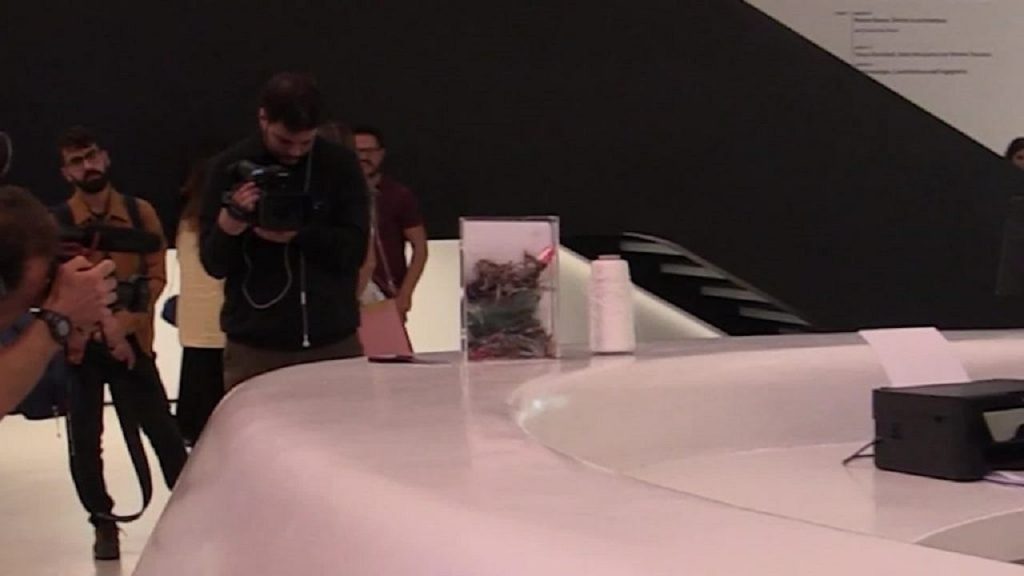 Iran, la protesta pacifica al museo MAXXI di Roma