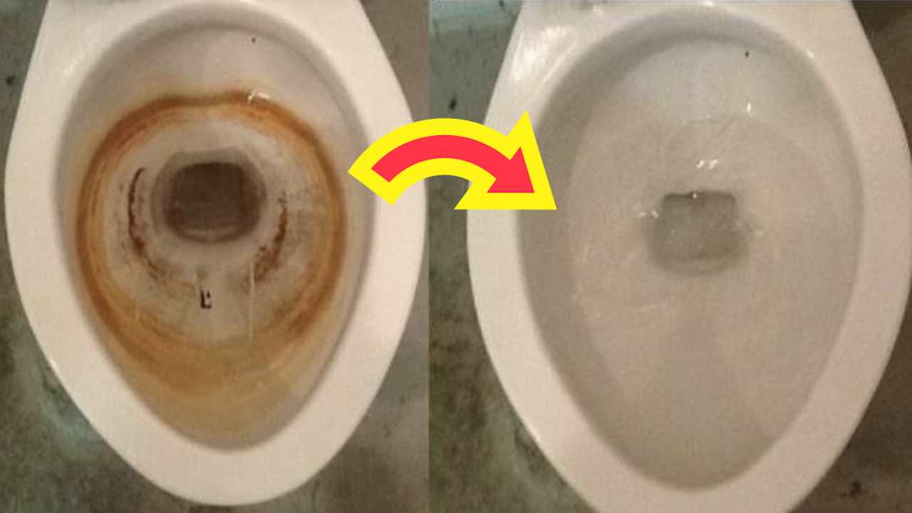 Dirty covered toilet bowl that won’t flush?  Find the only way to keep it like new