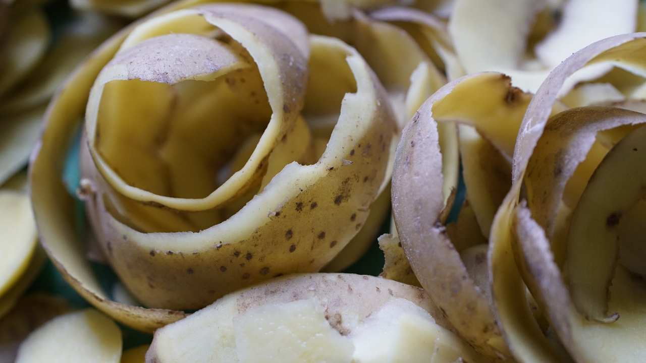 bucce patata proprietà