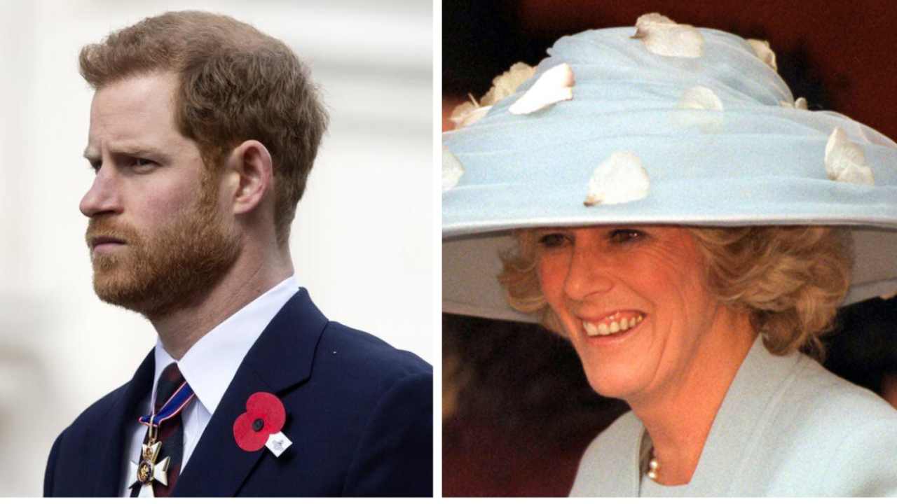 harry contro camilla