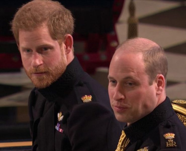 harry william regina