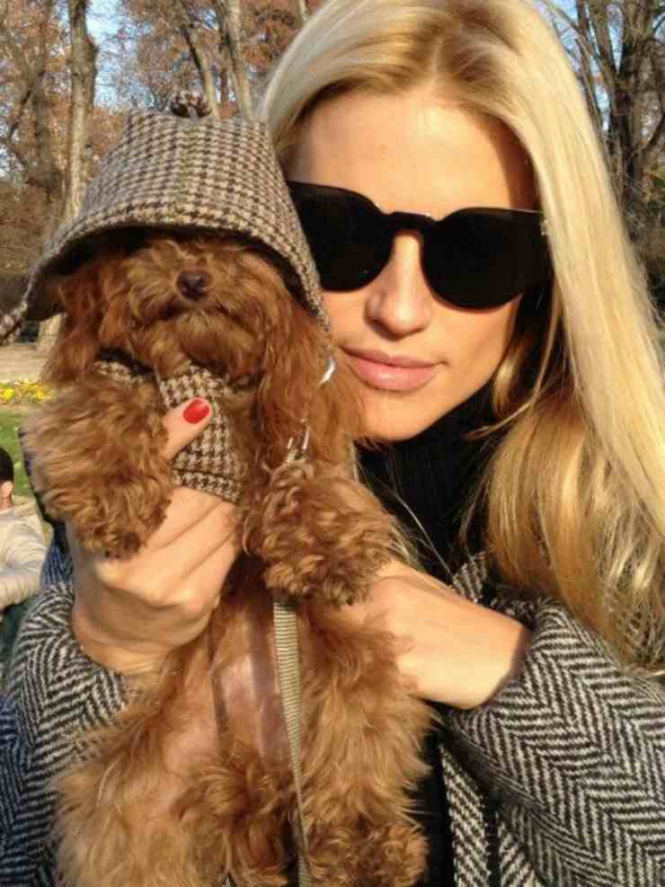 hunziker cani