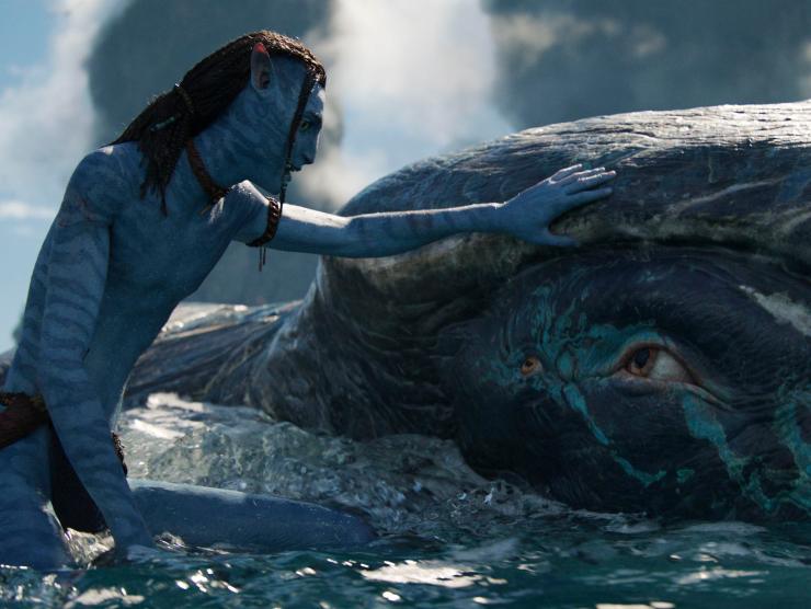 Avatar 2 atteso nelle sale cinematografiche