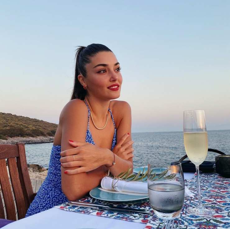 hande ercel nipotina