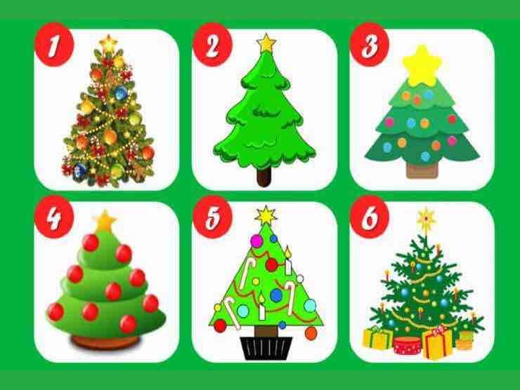 Scegli un albero di Natale e scopri chi sei veramente (foto web)