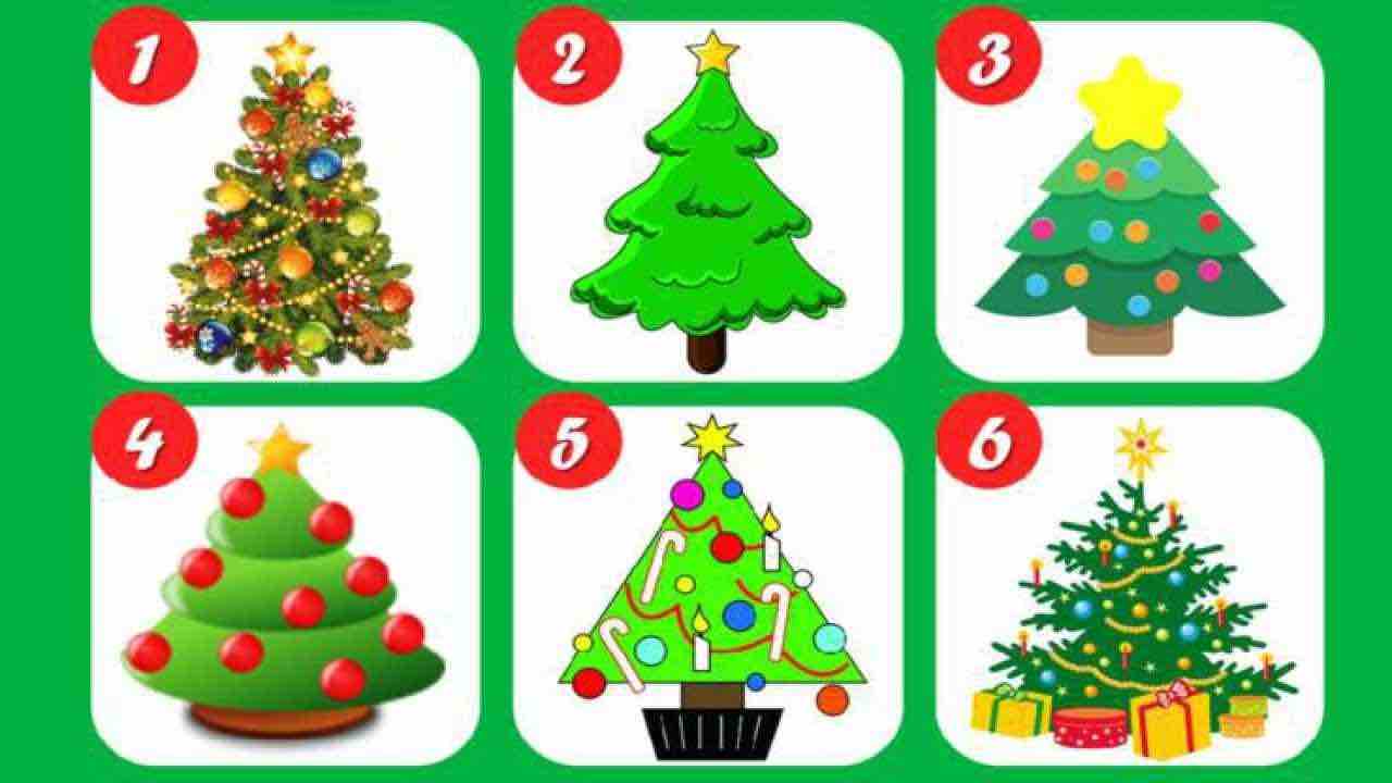 Scegli un albero di Natale e scopri chi sei veramente (foto web)