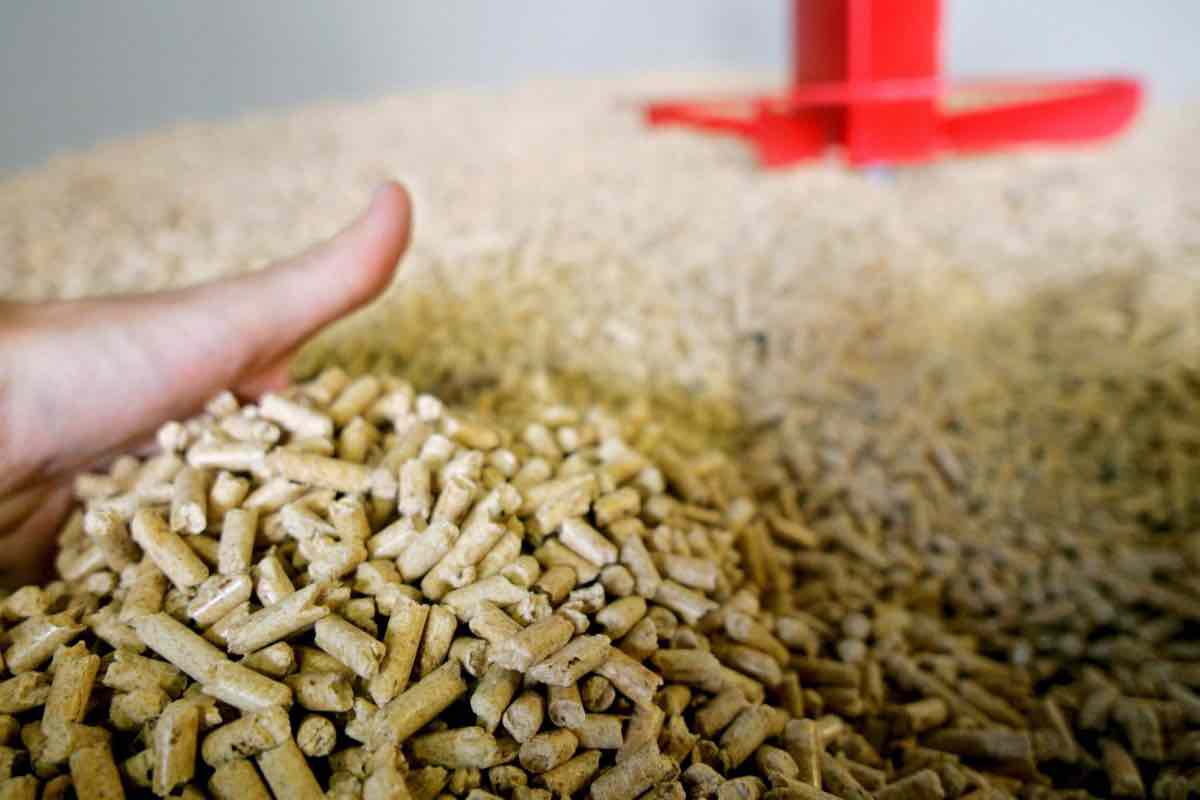 Pellet