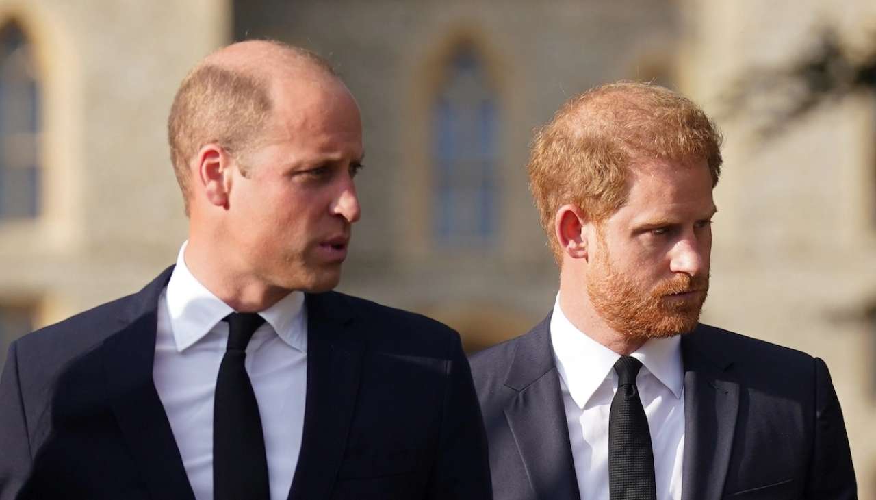 William e Harry_Newsby