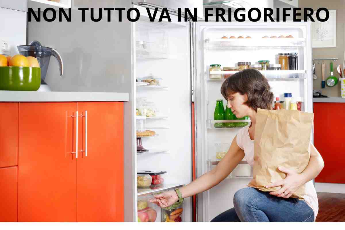 cibo alimenti frigorifero